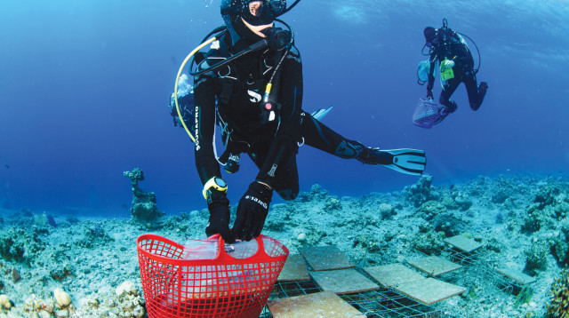 פעולת הניטור במפרץ אילת (צילום: המכון הבינאוניברסיטאי באילת)