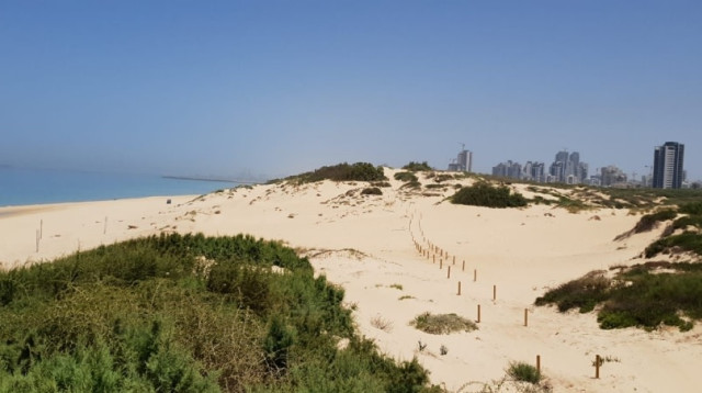 פארק אקולוגי מצודת אשדוד (צילום: תכנון נופי וליווי אקולוגי ליאב שלם)