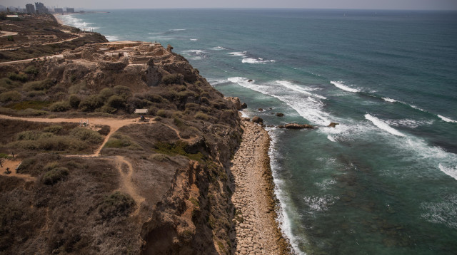המועצה האזורית חוף השרון (צילום: הדס פרוש, פלאש 90)