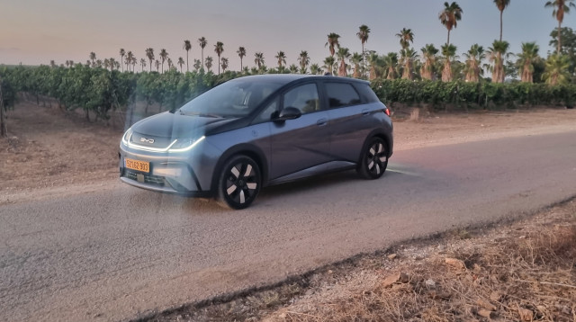 BYD דולפין (צילום: אודי עציון)