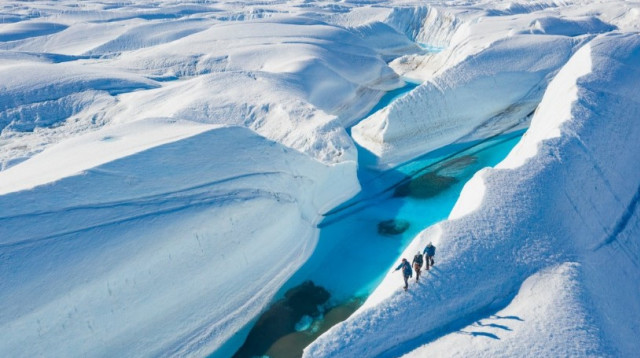 אנטארקטיקה (צילום: צילום מסך אינסטגרם)