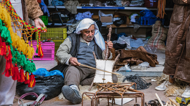 סיור בניחוח בדואי, נגב תור (צילום: מירי משה)