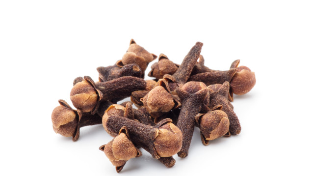 ציפורן (צילום: אינג'אימג')