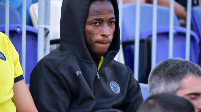 פארפה גיאגון (צילום: אריאל שלום)