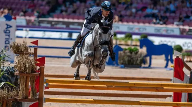  (צילום: לילי פוראדו)