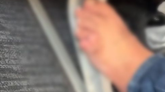 הנוסע המטוס חשף פרט שהימם את הסובבים (צילום: מתוך טיקטוק)