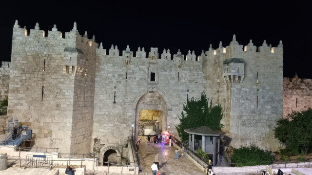 שער שכם  (צילום: יוליה ברזון)