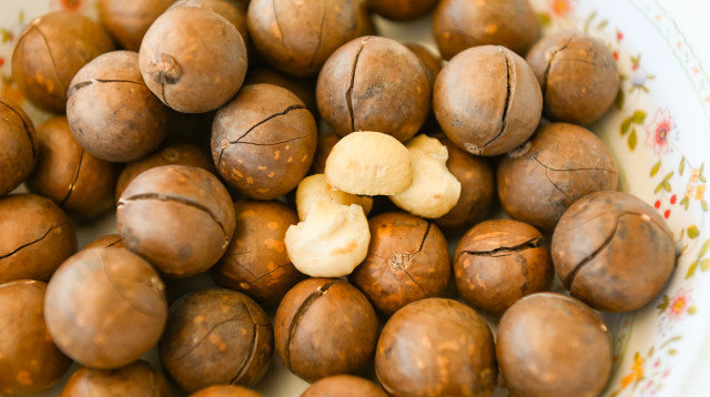 אגוזי מקדמיה (צילום: אינגאימג')