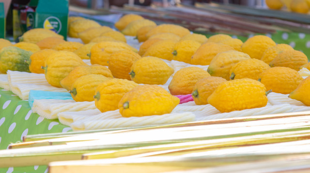 אתרוגים בשוק ארבעת המינים. הפעם, קרוב לבית (צילום: דוברות עיריית פתח תקווה)