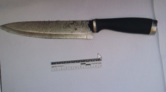 הסכין שנתפסה (צילום: דוברות המשטרה)