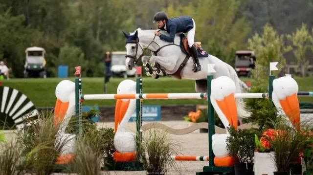  (צילום: תומאס הולצבאכר עבור ההתאחדות הישראלית לרכיבת סוסים)