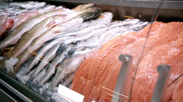 מחלקת הדגים ברשת חצי חינם (צילום: רשת חצי חינם)