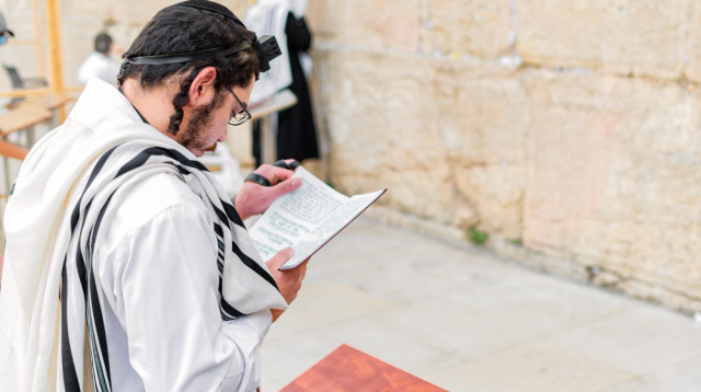 פדיון כפרות חב"ד (צילום: FREEPIK)