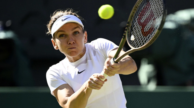 השעייה, אך לכמה זמן? האלפ (צילום: רויטרס)