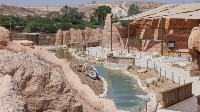 הקניון. מדבריום פארק החיות בבאר שבע (צילום: דיאגו מיטלברג)