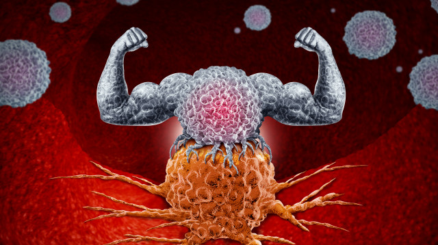 מערכת חיסונית חזקה, אילוסטרציה (צילום: אינג'אימג')