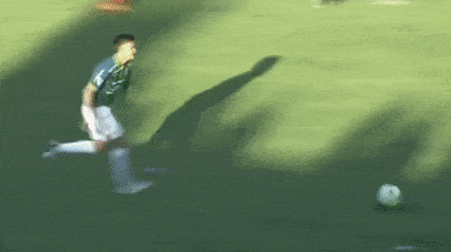 גיף תיקול כפול (צילום: אתר רשמי, מתוך טוויטר)