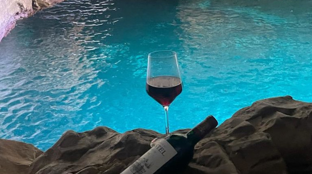 פסטיבל יין בראש הנקרה (צילום: ליאת הלוי כהן)