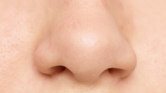 אף, אילוסטרציה (צילום: אינג'אימג')