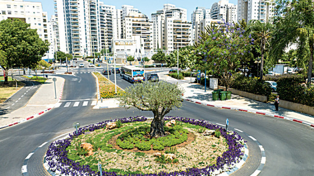 כיכר בעיר. פתח תקווה עוברת מהפכה תחבורתית (צילום: דוברות עיריית פתח תקווה)