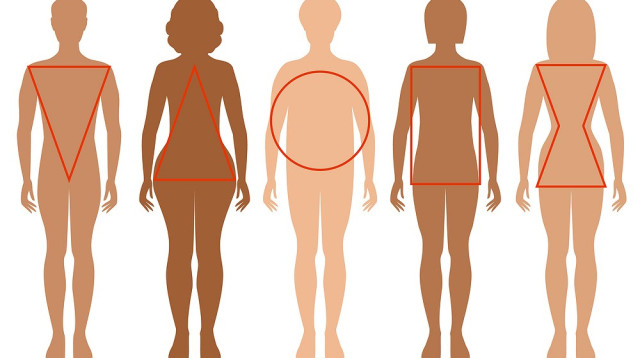 צורות גוף של נשים (צילום: אינג'אימג')