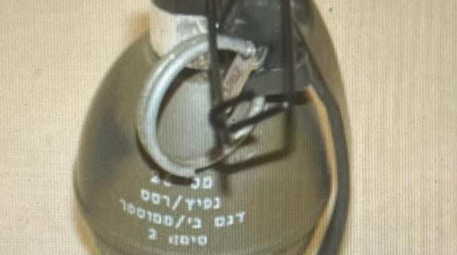 רימון (צילום: משטרת ישראל)