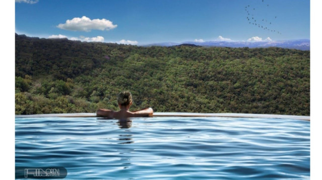 וילה טליה. נוף ליערות הכרמל (צילום: אורן מ.א.ז אדריכלים בע״מ)