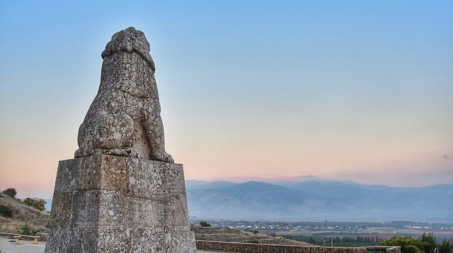 האריה השואג (צילום: חונן חיים)