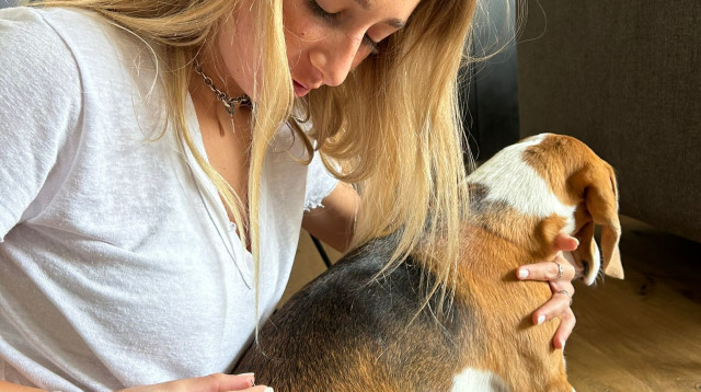 דיקור בעלי חיים (צילום: ירין ברזידה)