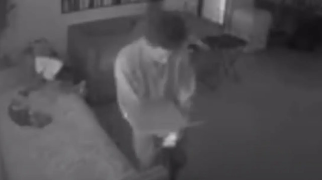 תיעוד מצמרר: בת שלוש ירתה בעצמה בסלון ביתה (צילום: מתוך יוטיוב)