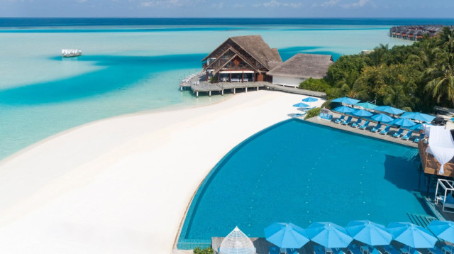 המלדיביים (צילום: יחצ אננטרה)