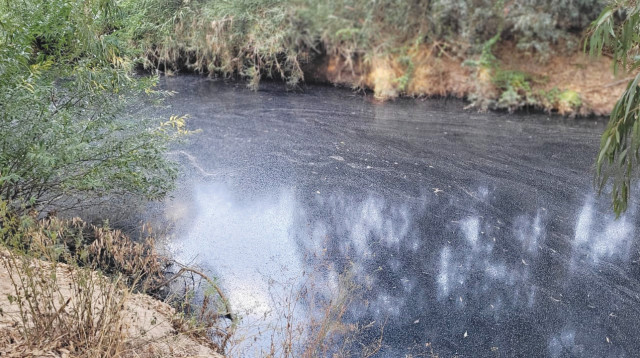 זיהום בנחל שורק (צילום: רשות הטבע והגנים)