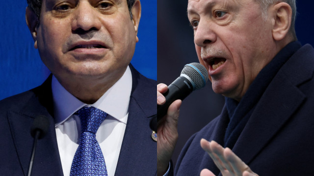 רג'פ טאיפ ארדואן, נשיא מצרים א סיסי (צילום: REUTERS/Murad Sezer,Ludovic Marin/Pool via REUTERS)