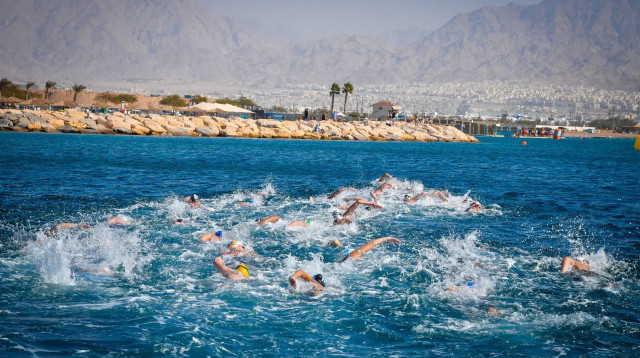 תחרות שחייה במים פתוחים באילת (צילום: אתר רשמי, יניב כהן, איגוד השחייה)
