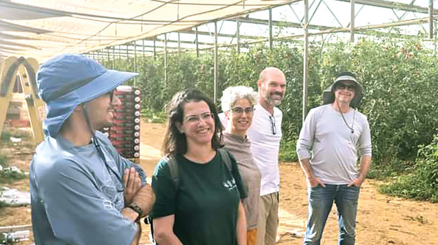 מתנדבים בחקלאות בעוטף עזה (צילום: פרטי)