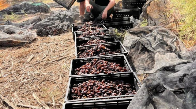 מסייעים לחקלאי ישראל (צילום: קק"ל)