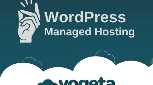 נוח, מהיר ופשוט מאי פעם: הכירו את שירותי האחסון של יוגטה למשתמשי וורדפרס (צילום: יח"צ)