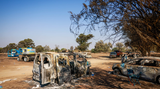 מכוניות שרופות בנובה (צילום: Chaim Goldberg/Flash90)