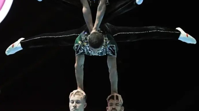  (צילום: אתר רשמי, איגוד ההתעמלות)