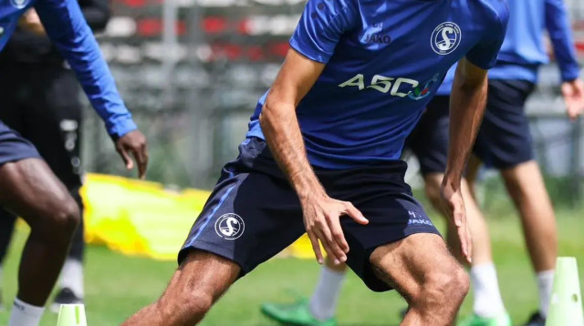 ידין לוגסי, סבאיל (צילום: אתר רשמי, סבאיל)