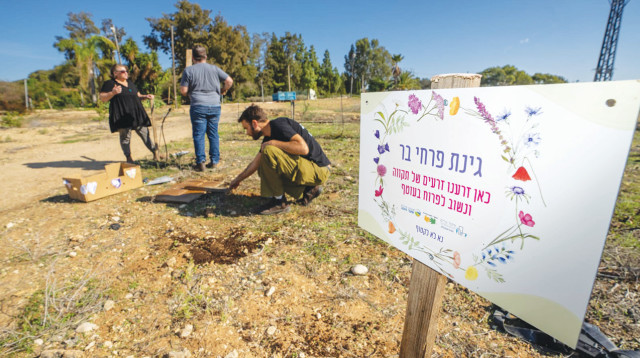 הזריעה בקיבוץ גבים (צילום: יובל דקס)