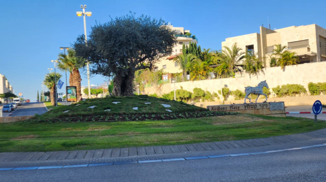 "כיכר הסוסים" בפתח תקווה (צילום: אלון חכמון)