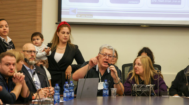 הדיון בוועדת העבודה והרווחה (צילום: נועם מושקוביץ, דוברות הכנסת)
