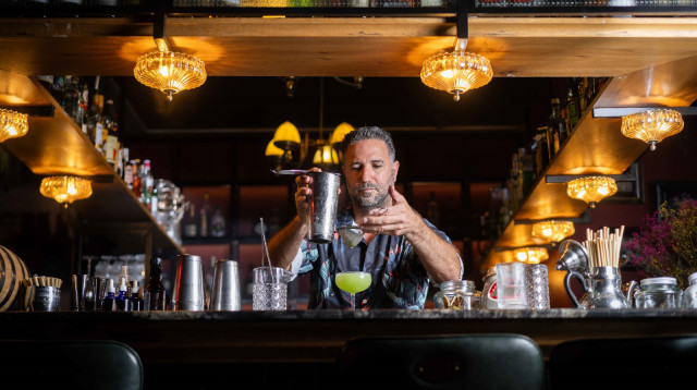 טל גנץ, קולולו  (צילום: אסף קרלה)