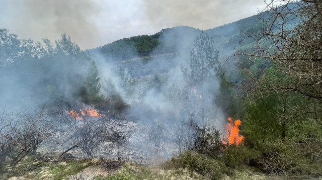שריפה כתוצאה מיירוט בשמי הגליל העליון (צילום: כב"ה צפון)