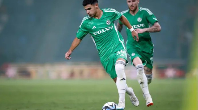 גם הוא קיבל קרדיט. חמזה שיבלי (צילום: מאור אלקסלסי)