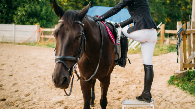 גבר טען: "אשתי מעדיפה רכיבה על סוסים על פני" (צילום: אינג'אימג')