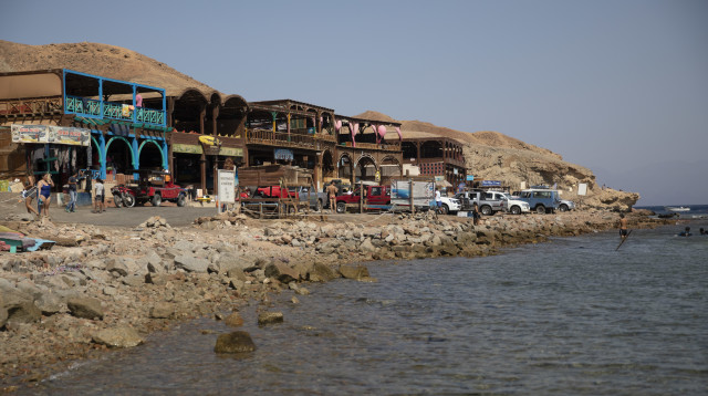 דהאב (צילום: Hadas Parush/Flash90)