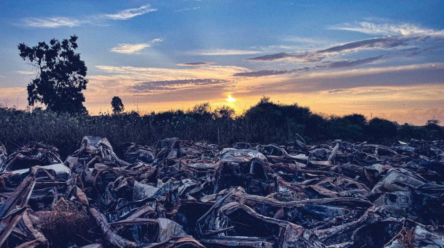 מלחמת חרבות ברזל (צילום: ג'ואי כהן)