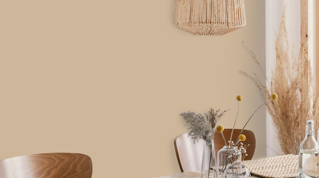 צבע השנה של טמבור (צילום: יח"צ טמבור)